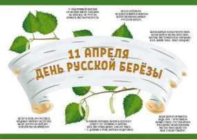 День берёзы День берёзы.
