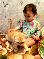 Всемирный день кошек Всемирный день кошек.