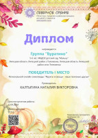Достижения воспитанников Достижения воспитанников.