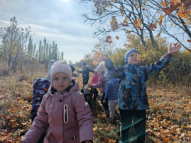 Осеннее занятие Осеннее занятие.