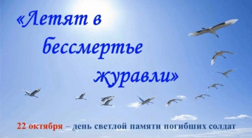 22 октября - День Белых Журавлей 22 октября - День Белых Журавлей.