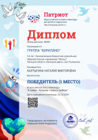 Наши достижения Наши достижения.