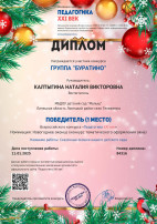 Наши достижения Наши достижения.