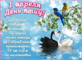 День птиц День птиц.