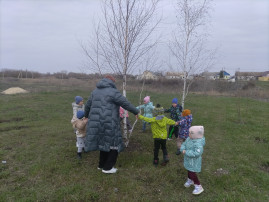 Белая береза Белая береза.