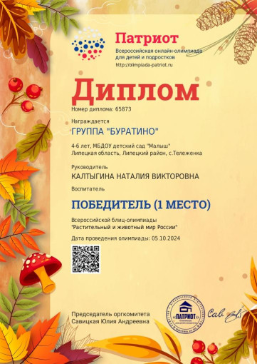 Наши достижения Наши достижения.