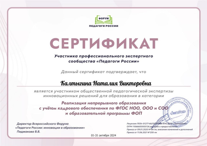 Наши достижения Наши достижения.