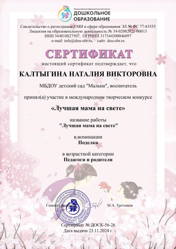 Наши достижения Наши достижения.