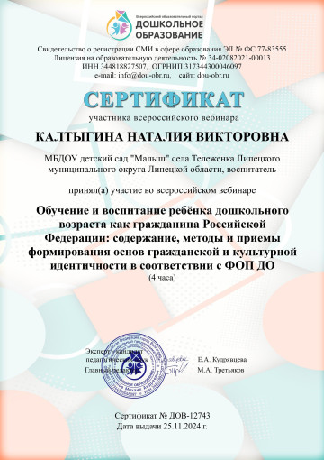 Участие воспитателя в вебинаре Участие воспитателя в вебинаре.