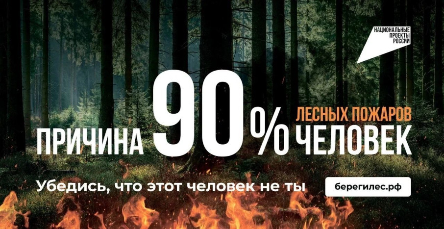 Федеральная информационная противпожарная кампания «Останови огонь!» Федеральная информационная противпожарная кампания «Останови огонь!».