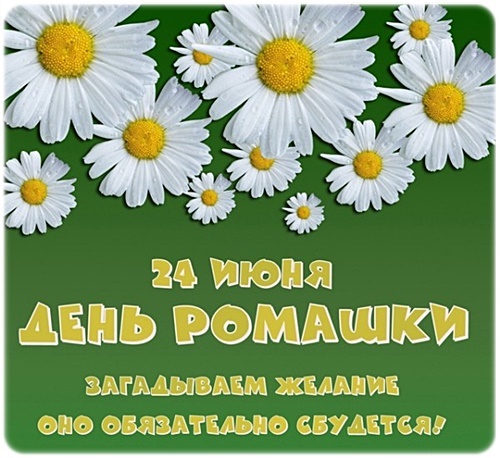 Ромашки Ромашки.